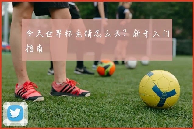 今天世界杯竞猜怎么买?新手入门指南