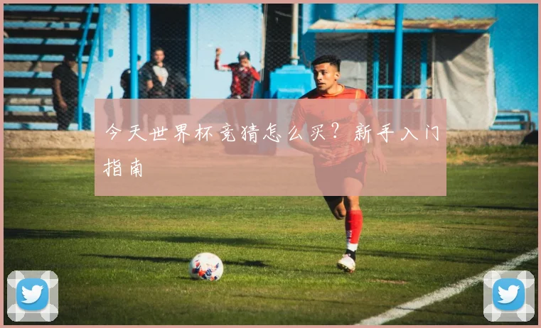 今天世界杯竞猜怎么买?新手入门指南
