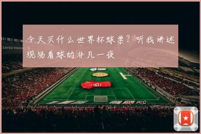 今天买什么世界杯球票?听我讲述现场看球的非凡一夜